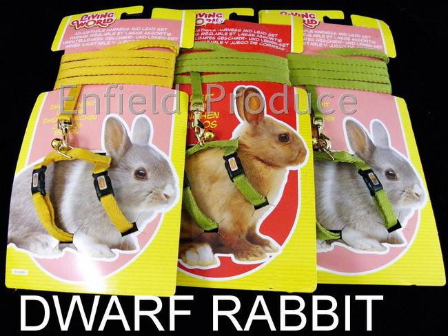 Dwarf Rabbit Harness & Lead Set (LW) - Enfield Produce