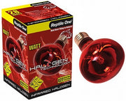 Reptile One Halogen Heat Lamp - Infrared