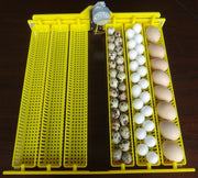 48 Chicken Egg Incubator : Turning Tray1