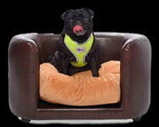 PetObsessed Chocolate Indulgence PVC Leather Dog Sofa