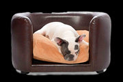 PetObsessed Chocolate Indulgence PVC Leather Dog Sofa