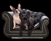 PetObsessed King of Comfort PU Leather Dog Sofa