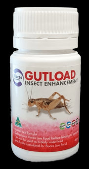 Pisces Gutload Insect Enhancement 40g