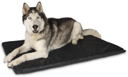 Heavy Duty Flea Free Trampoline Dog Beds