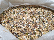 Sprouting Seed Mix for Birds