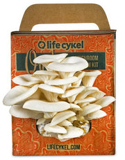 Life Cykel Oyster Mushroom Grow Kits