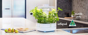 UrbiPod Indoor Smart Garden