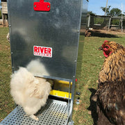 Bainbridge Supreme Treadle Automatic Chicken Feeder