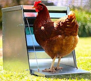 Chooktred Treadle Chicken Feeder