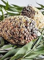 Forage Pinecone Treat LARGE BIRD