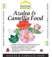 Patons Azalea & Camelia Food Fertiliser