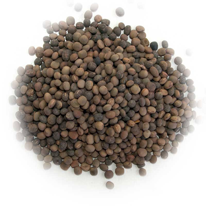 Vetch Seed 25kg - Enfield Produce